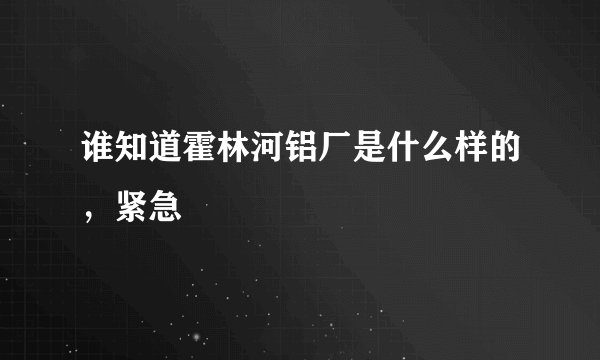 谁知道霍林河铝厂是什么样的，紧急