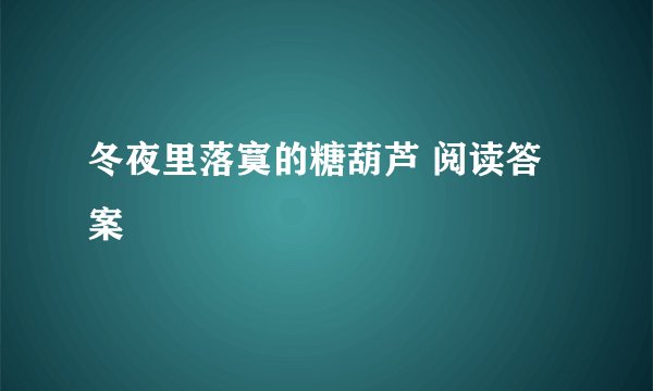 冬夜里落寞的糖葫芦 阅读答案