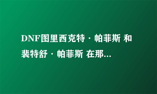 DNF图里西克特·帕菲斯 和 裴特舒·帕菲斯 在那个图里面