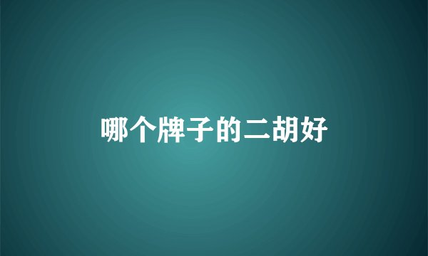 哪个牌子的二胡好