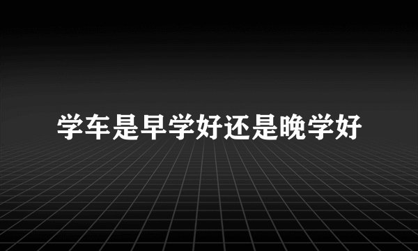 学车是早学好还是晚学好
