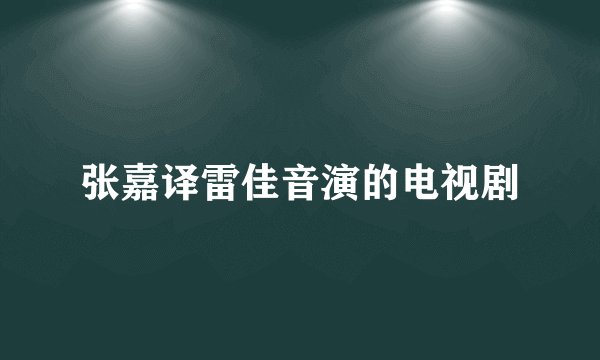 张嘉译雷佳音演的电视剧