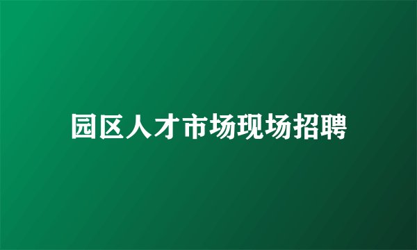 园区人才市场现场招聘