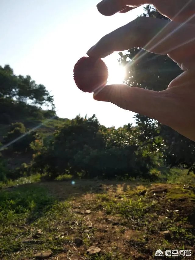 如何评价《黄金兄弟》这部电影?