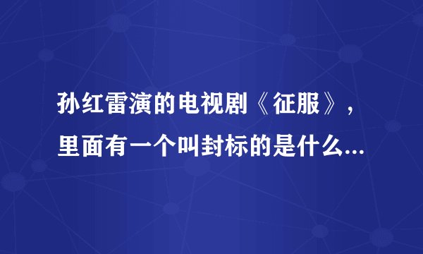 孙红雷演的电视剧《征服》，里面有一个叫封标的是什么结果啊？