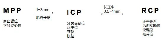 口腔医学专业知识考试资料网:三种基本颌位的关系