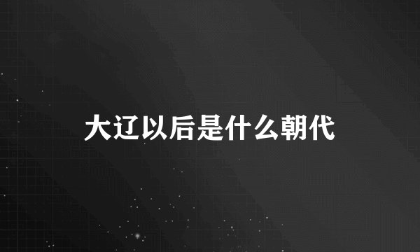 大辽以后是什么朝代
