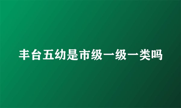丰台五幼是市级一级一类吗