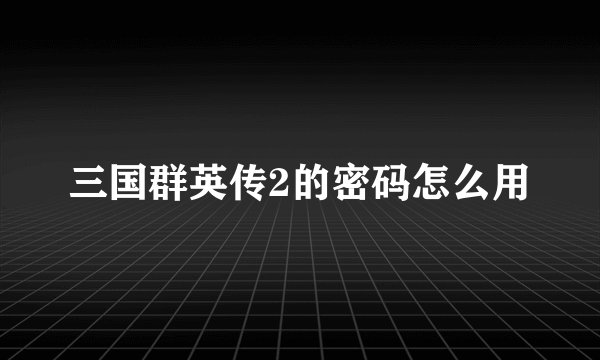 三国群英传2的密码怎么用