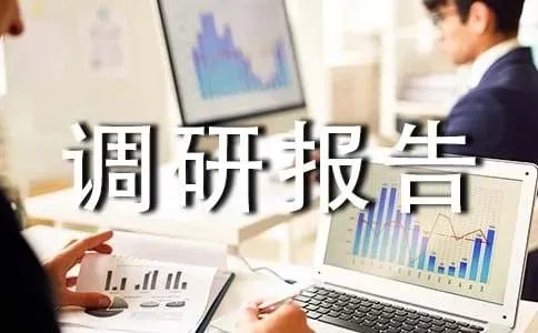 青岛调研报告
