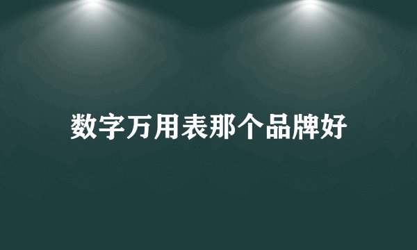 数字万用表那个品牌好