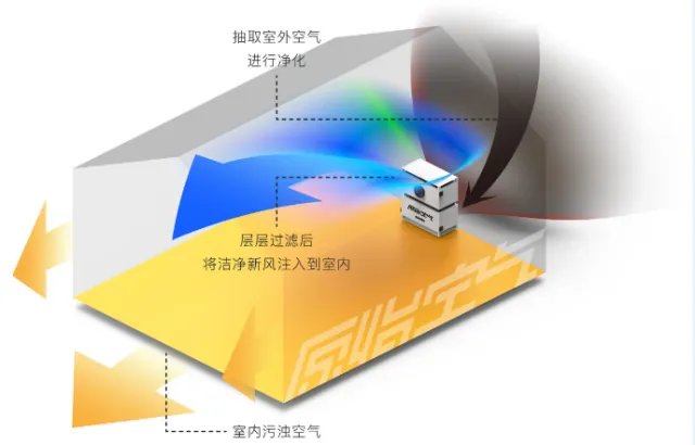 家里的空气污染严重，老师傅这样治理能多活20年