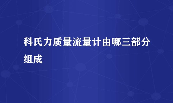 科氏力质量流量计由哪三部分组成