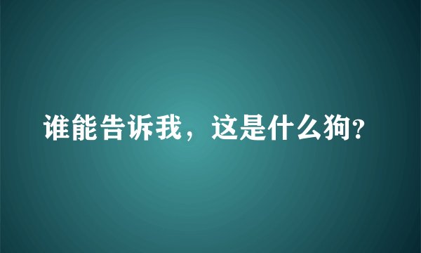 谁能告诉我，这是什么狗？