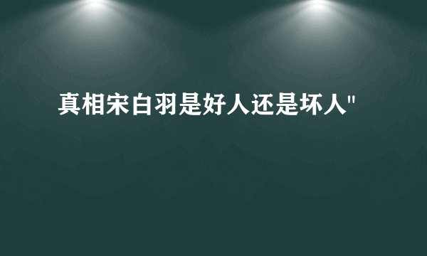 真相宋白羽是好人还是坏人