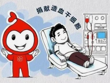 山东一男孩为给弟弟捐骨髓跑步增重,捐献骨髓需要符合哪些条件?
