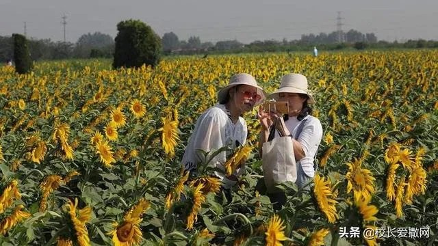 休闲农庄如何变身农业旅游景区?