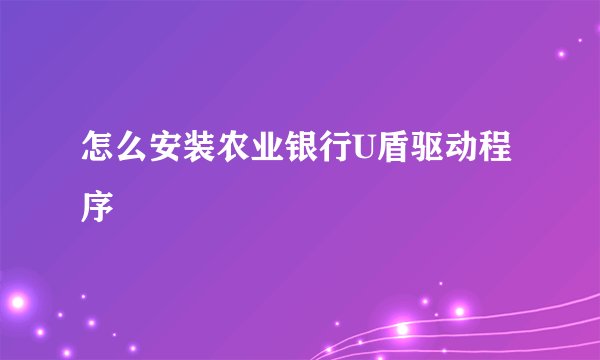 怎么安装农业银行U盾驱动程序