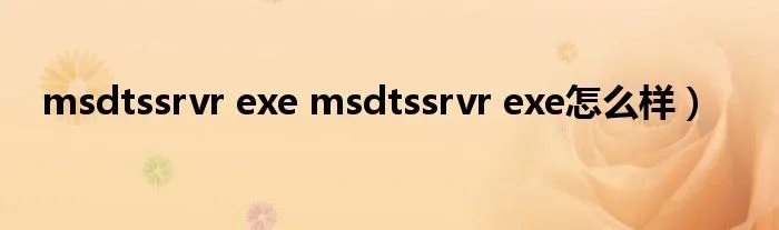 msdtssrvr exe msdtssrvr exe怎么样）