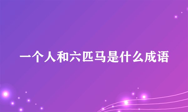 一个人和六匹马是什么成语