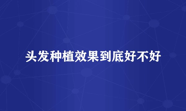 头发种植效果到底好不好