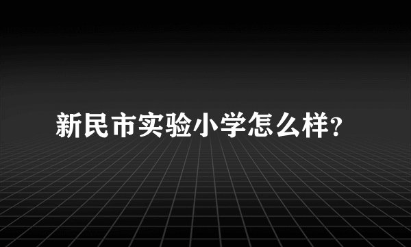 新民市实验小学怎么样？