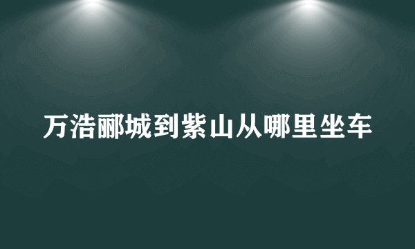 万浩郦城到紫山从哪里坐车