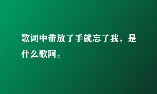 歌词中带放了手就忘了我，是什么歌阿。