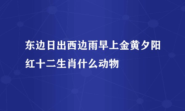 东边日出西边雨早上金黄夕阳红十二生肖什么动物
