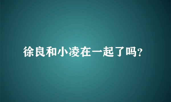 徐良和小凌在一起了吗？
