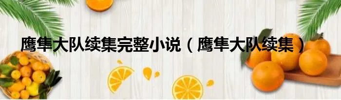 鹰隼大队续集完整小说（鹰隼大队续集）