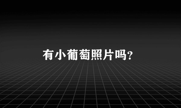 有小葡萄照片吗？