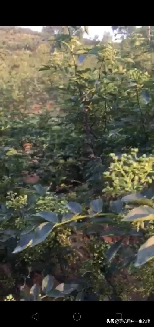 想听听你遇到过最难的事?是怎么度过的?