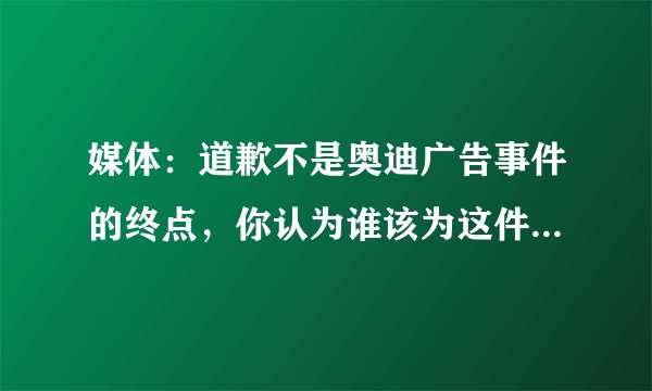 媒体:道歉不是奥迪广告事件的终点,你认为谁该为这件事承担责任?