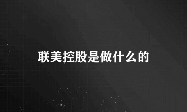 联美控股是做什么的