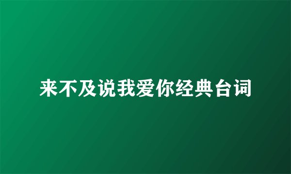 来不及说我爱你经典台词