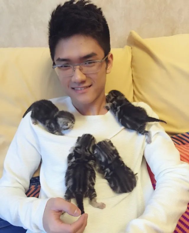 若风七夕求婚成功 这比台风来的更猛烈