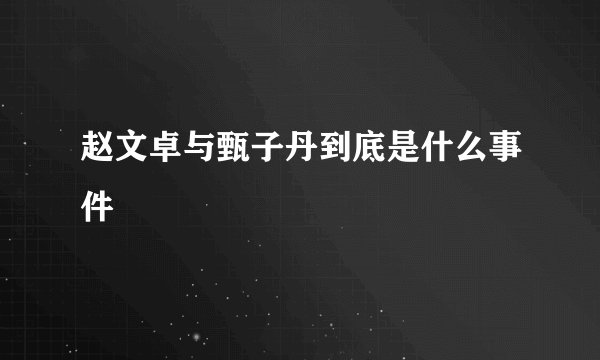 赵文卓与甄子丹到底是什么事件