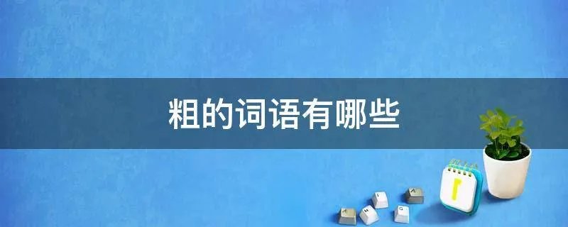 粗的词语有哪些