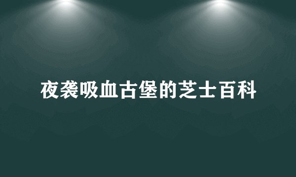 夜袭吸血古堡的芝士百科
