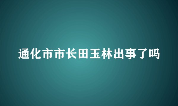 通化市市长田玉林出事了吗