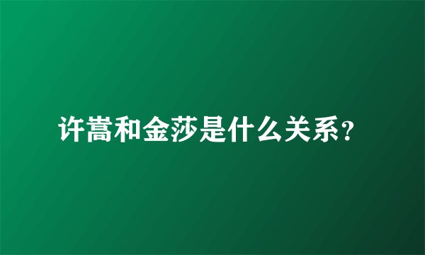 许嵩和金莎是什么关系？