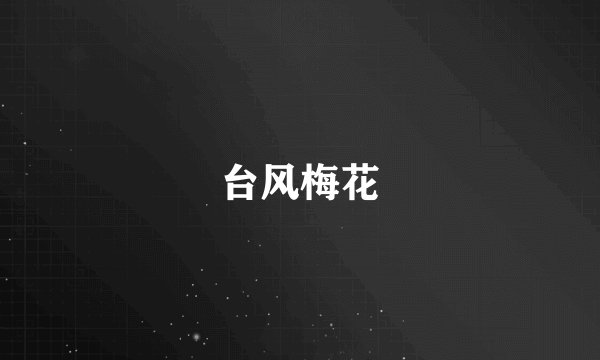 台风梅花