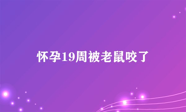 怀孕19周被老鼠咬了