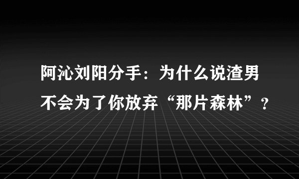 阿沁刘阳分手：为什么说渣男不会为了你放弃“那片森林”？