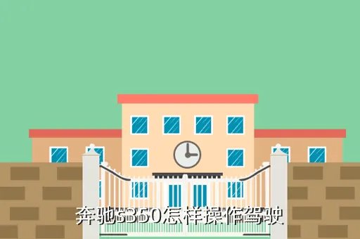 奔驰s350使用手册，奔驰s350怎样操作驾驶