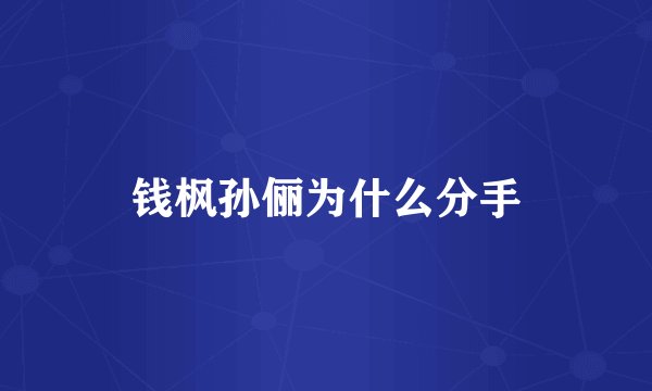 钱枫孙俪为什么分手