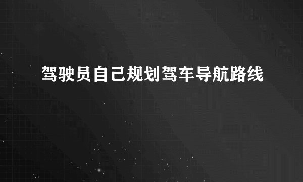 驾驶员自己规划驾车导航路线