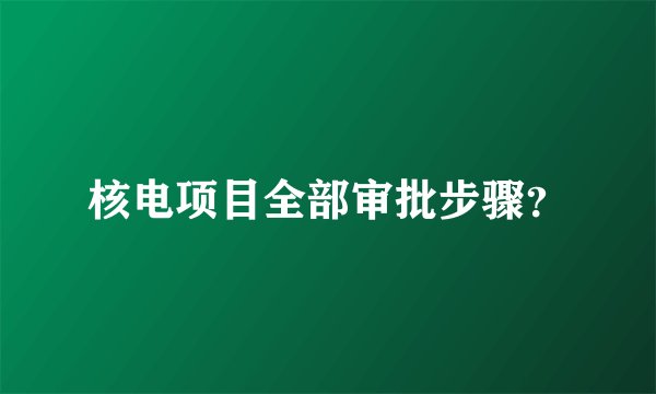 核电项目全部审批步骤？