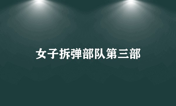 女子拆弹部队第三部